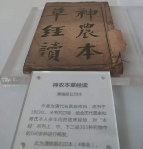 中医药历史文化，五千年的传承与发展（9）