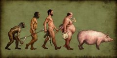 最客观的进化历程 人类最终要变猪